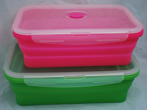 Collapsible Containers - Rectangle Set of Two